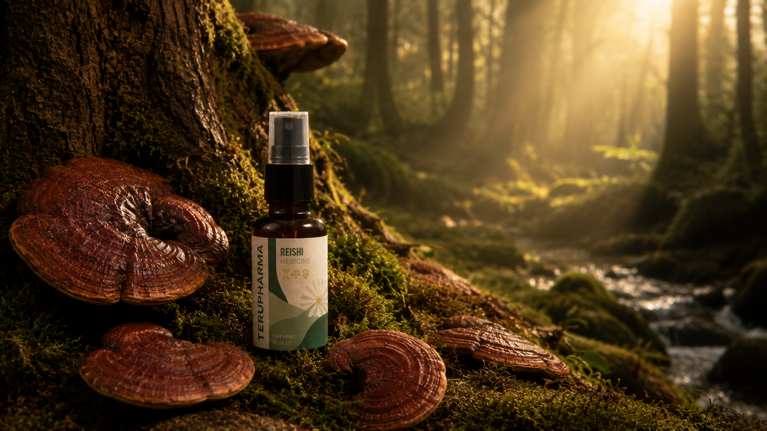 Reishi: The Mushroom of Immortality and What It Can Do for You