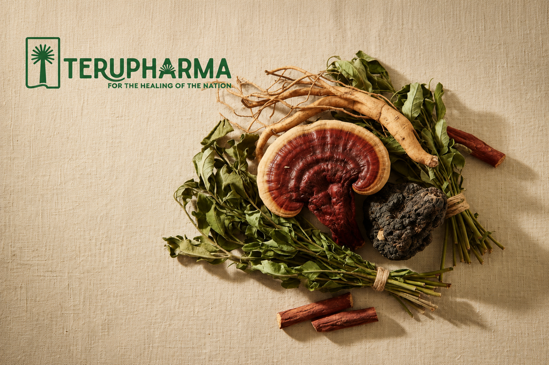 Medicinal plants and mushrooms including reishi, chaga, ashwagandha and cancerbush arranged on a linen surface with the Terupharma logo