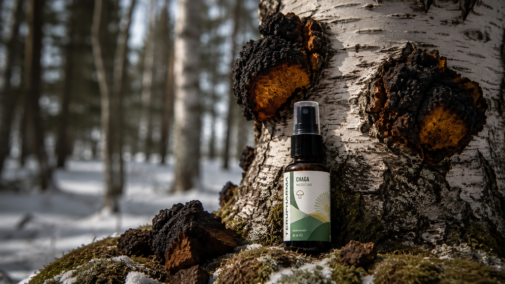 Chaga Liquid Extract – 30ml Oral Spray