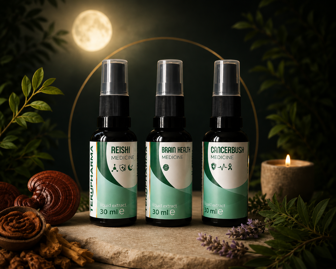 Stress & Sleep Support Kit